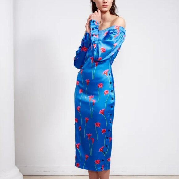 Caroline Constas Pre-fall NY 2019 Collection Dania Lilly Dress in Blue XS $598 - Picture 4 of 12